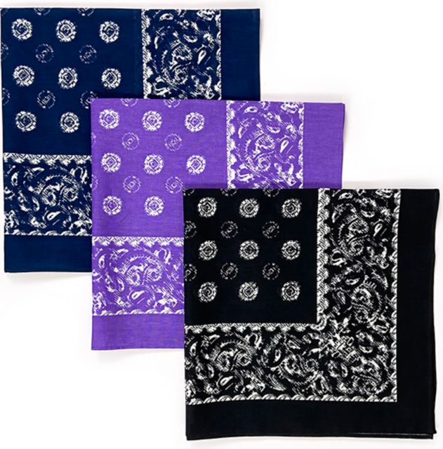 OMBRE PAISLEY BANDANA  3-PACK