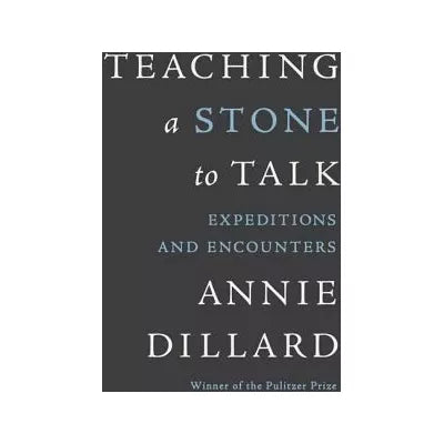 Teaching a Stone to Talk
