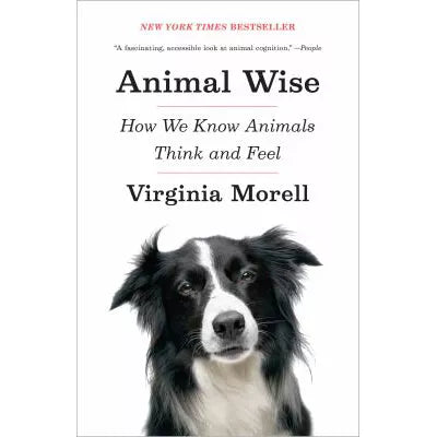 Animal Wise