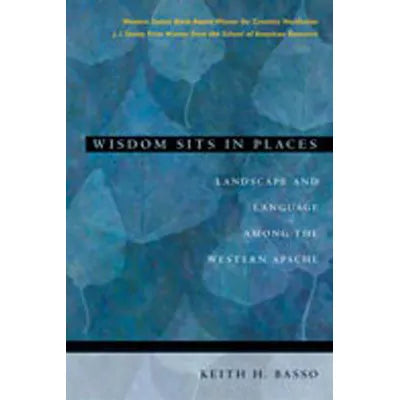 Wisdom Sits In Places