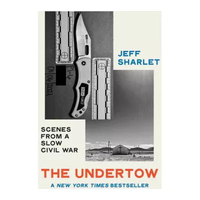 The Undertow : Scenes from a Slow Civil War