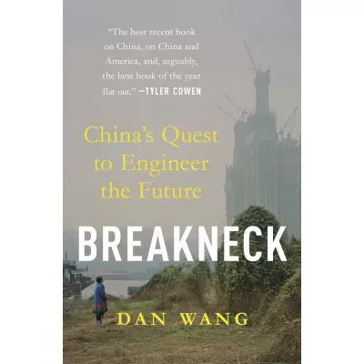 Breakneck : China's Quest to Engineer the Future