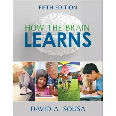 How the Brain Learns